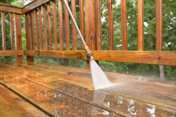 Animal Enclosure Cleaning in Quincy, IL